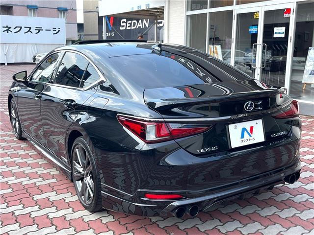 2019 Lexus ES photo 10