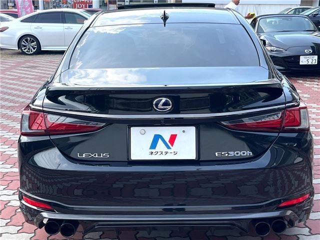 2019 Lexus ES photo 9