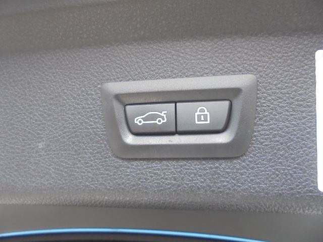صورة مصغرة 35 لـ 2015 BMW 3 SERIES