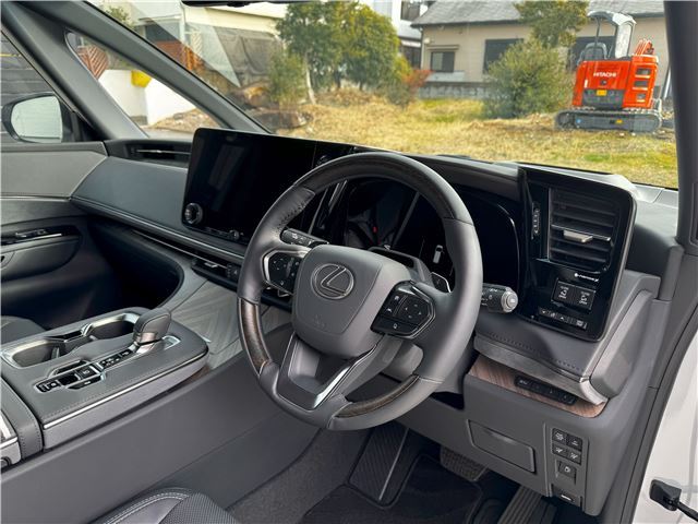 2025 Lexus LM photo 7
