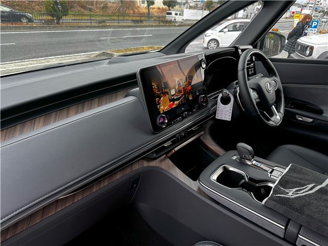 2025 Lexus LM photo 4
