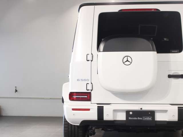 2024 Mercedes-BENZ G-CLASS — миниатюра 20