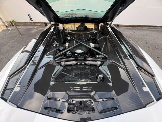 2017 Lamborghini AVENTADOR 缩略图 39