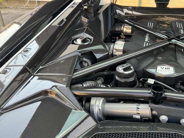 2017 Lamborghini AVENTADOR 缩略图 41