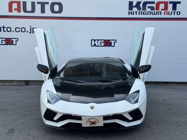 2017 Lamborghini AVENTADOR 照片 10
