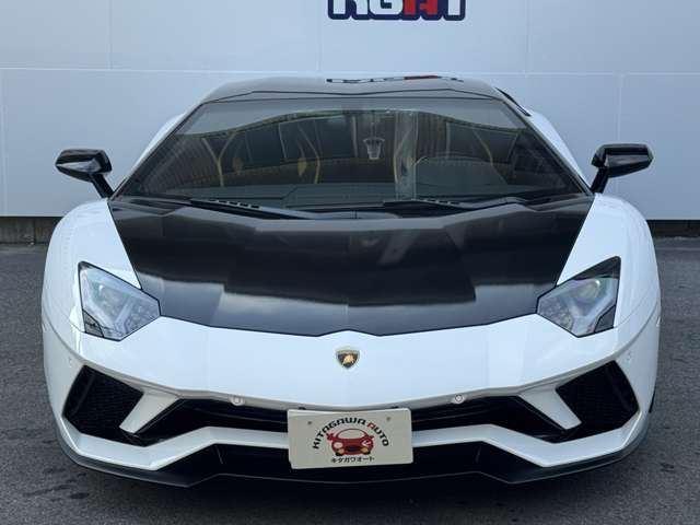 2017 Lamborghini AVENTADOR 照片 9