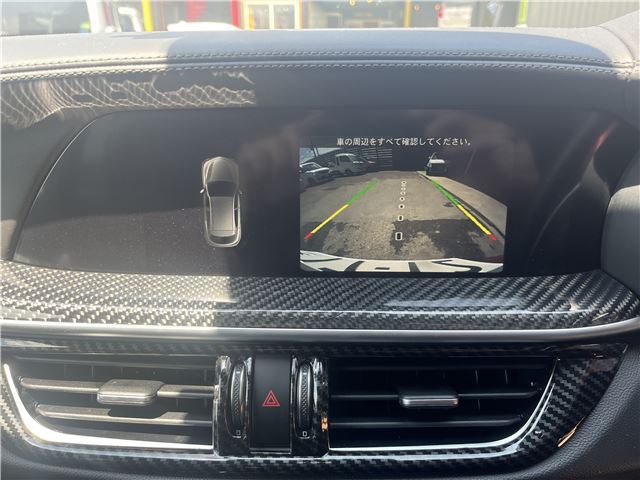 2019 ALFA Romeo STELVIO — миниатюра 12
