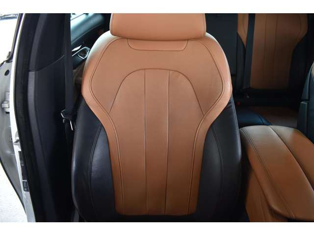 صورة مصغرة 45 لـ 2015 BMW X6