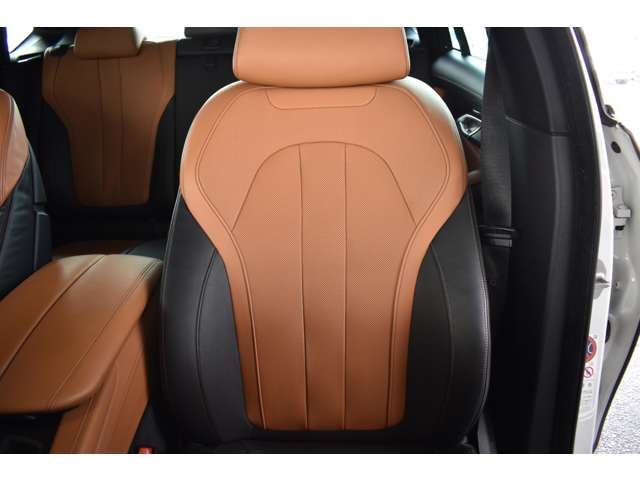 صورة مصغرة 55 لـ 2015 BMW X6