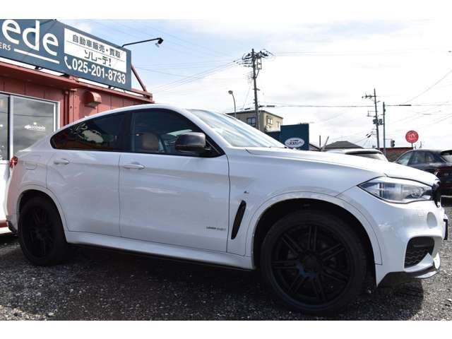 صورة 8 لـ 2015 BMW X6