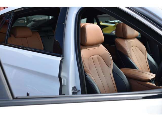 صورة 6 لـ 2015 BMW X6