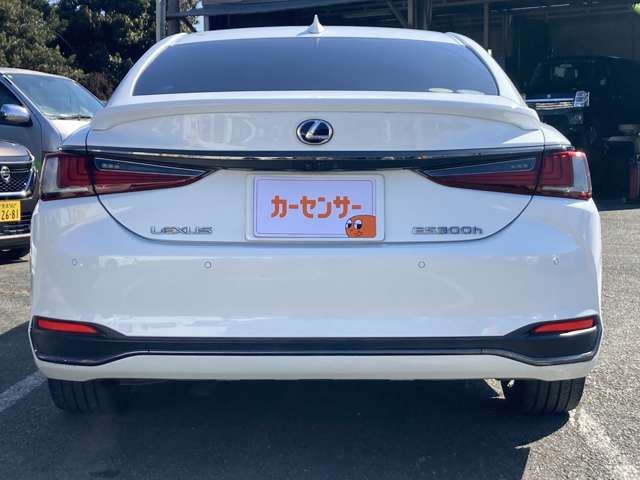 2018 Lexus ES photo 10