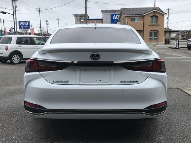 2019 Lexus ES photo 7