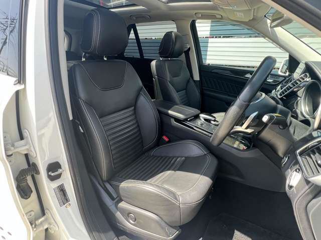 صورة 10 لـ 2015 Mercedes-BENZ GLE