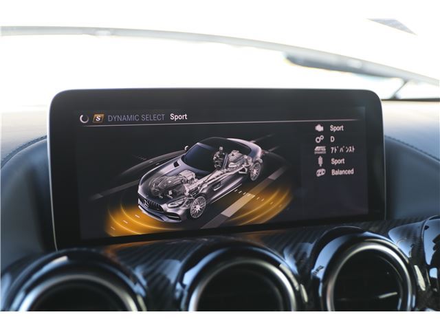 2020 Mercedes-BENZ GT AMG 缩略图 31