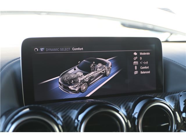2020 Mercedes-BENZ GT AMG 缩略图 32