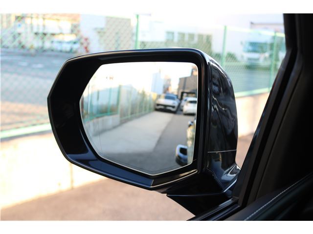 صورة مصغرة 30 لـ 2022 Cadillac ESCALADE