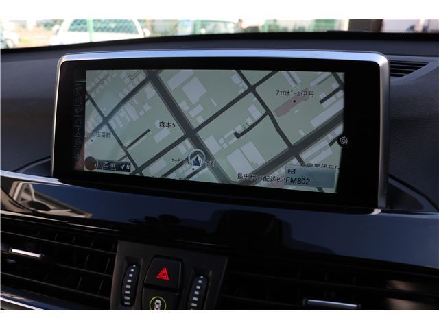 2016 BMW X1 缩略图 14
