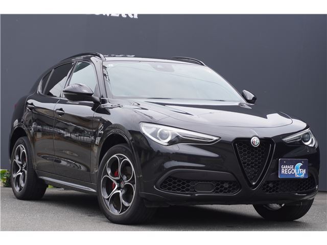 2021 ALFA Romeo STELVIO 照片 1
