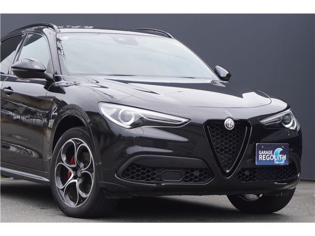 2021 ALFA Romeo STELVIO 照片 2