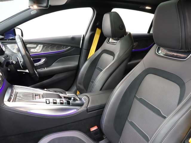 2019 Mercedes-BENZ GT AMG 缩略图 17