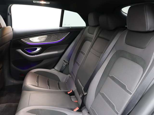 2019 Mercedes-BENZ GT AMG 缩略图 18