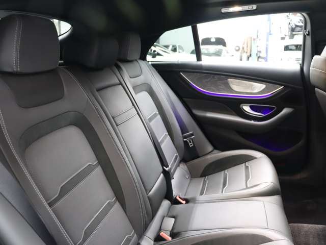 2019 Mercedes-BENZ GT AMG 缩略图 21