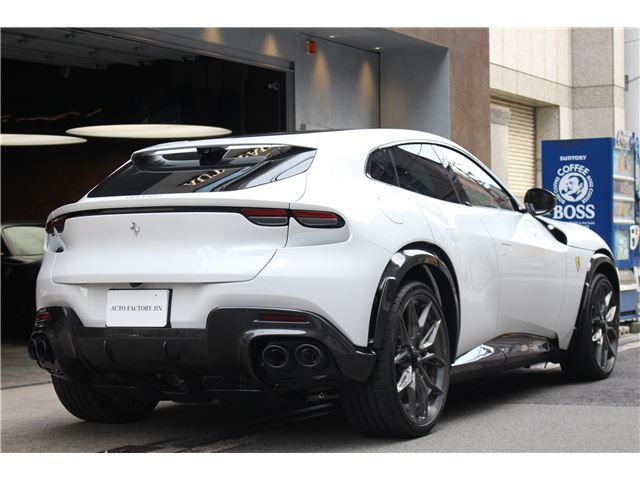 2025 Ferrari PUROSANGUE 缩略图 12