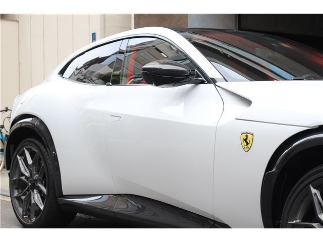 2025 Ferrari PUROSANGUE 缩略图 14
