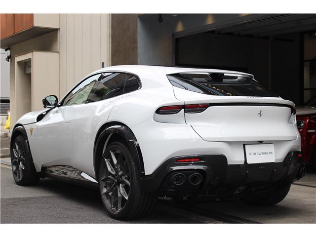 2025 Ferrari PUROSANGUE 缩略图 13