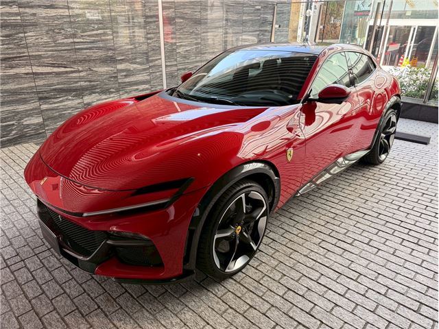 2024 Ferrari PUROSANGUE — миниатюра 14