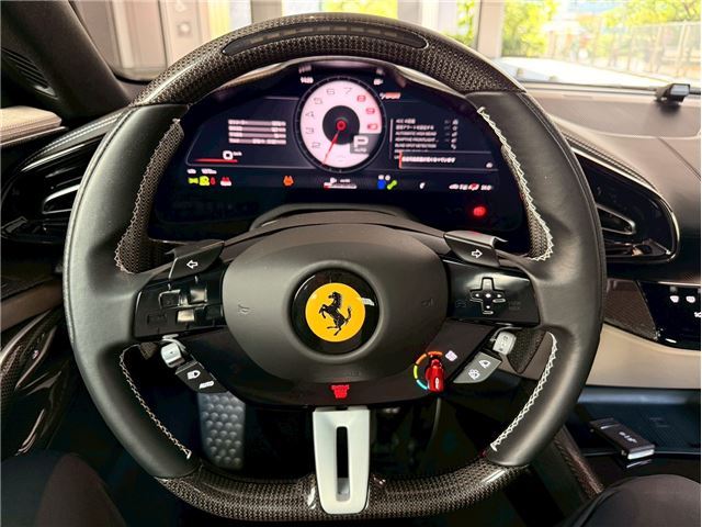 2024 Ferrari PUROSANGUE — миниатюра 44