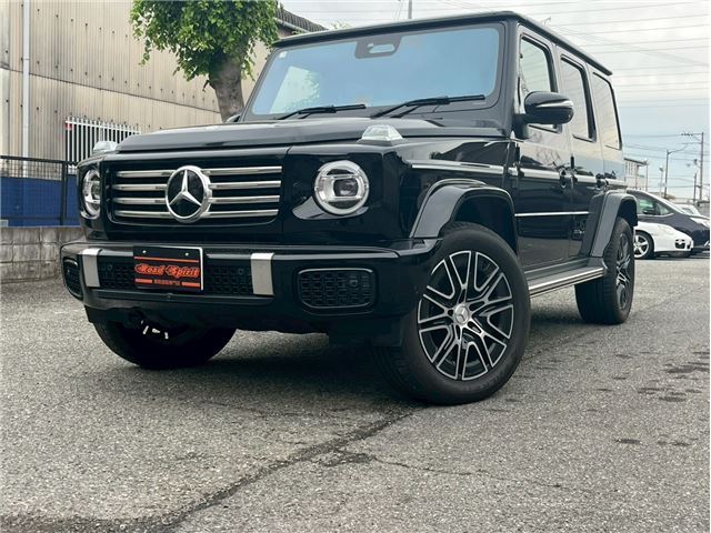 2025 Mercedes-BENZ G-CLASS — фото 1