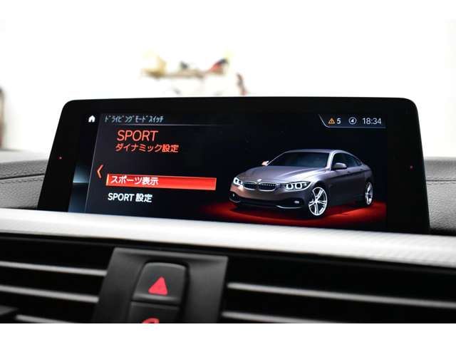 2018 BMW 4 SERIES GRAN COUPE — миниатюра 19