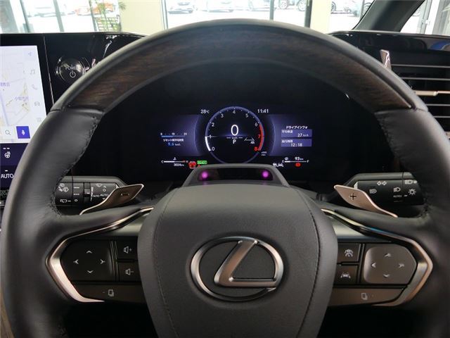 2024 Lexus LM thumbnail 12