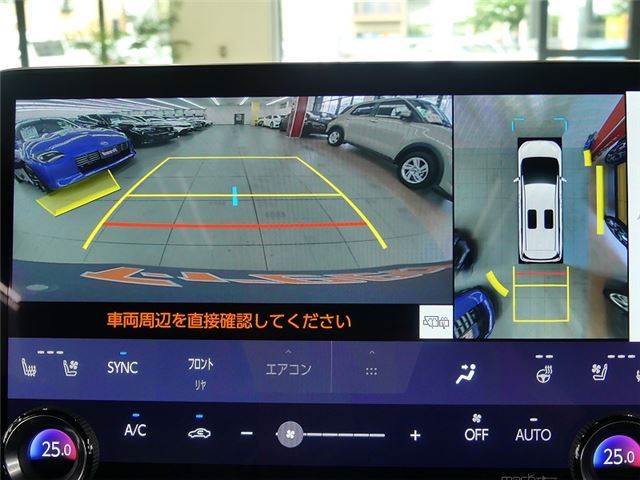 2024 Lexus LM thumbnail 18