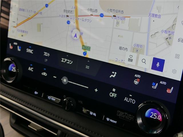 2024 Lexus LM thumbnail 19
