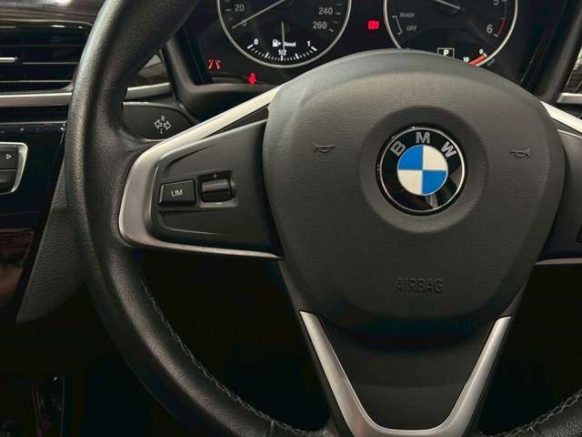 2017 BMW X1 缩略图 14