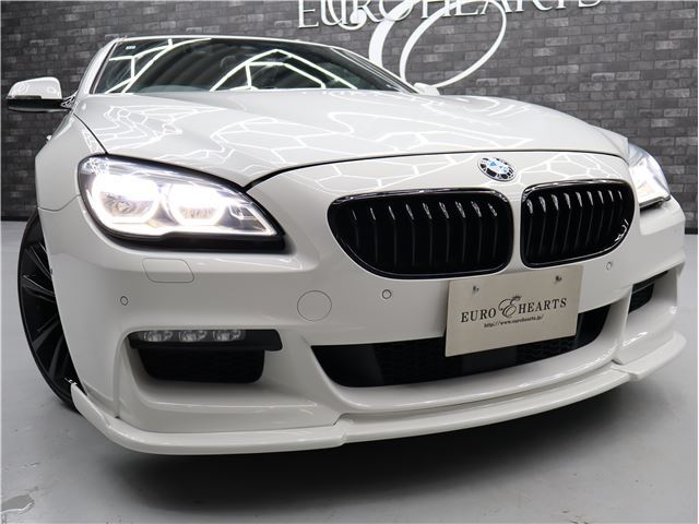 2016 BMW 6 SERIES — миниатюра 18