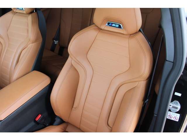 صورة مصغرة 45 لـ 2023 BMW M2 COUPE
