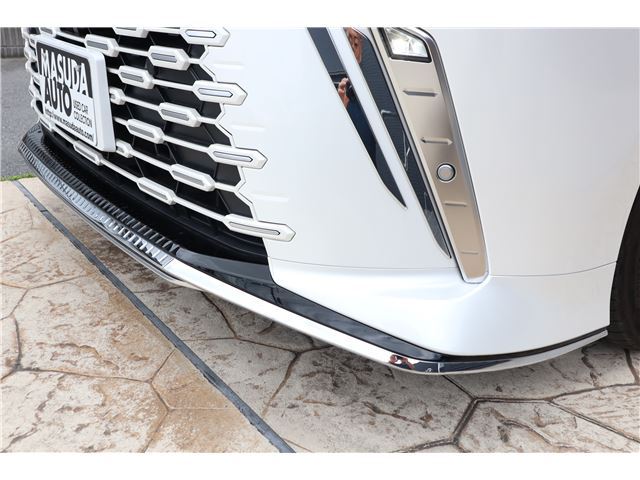 2024 Lexus LM thumbnail 20