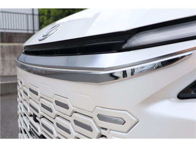 2024 Lexus LM thumbnail 22