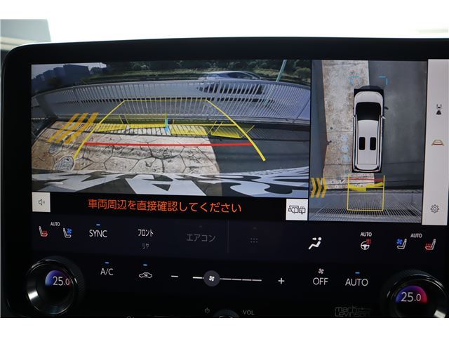 2024 Lexus LM thumbnail 44