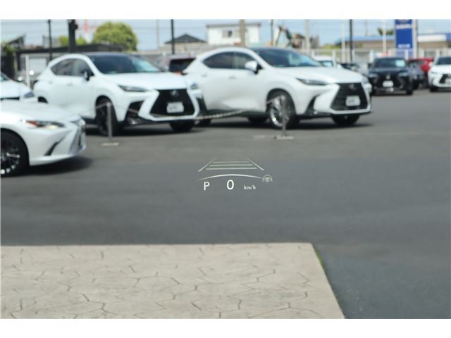 2024 Lexus LM thumbnail 56