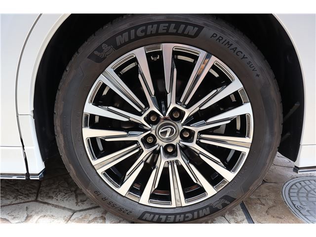 2024 Lexus LM photo 9