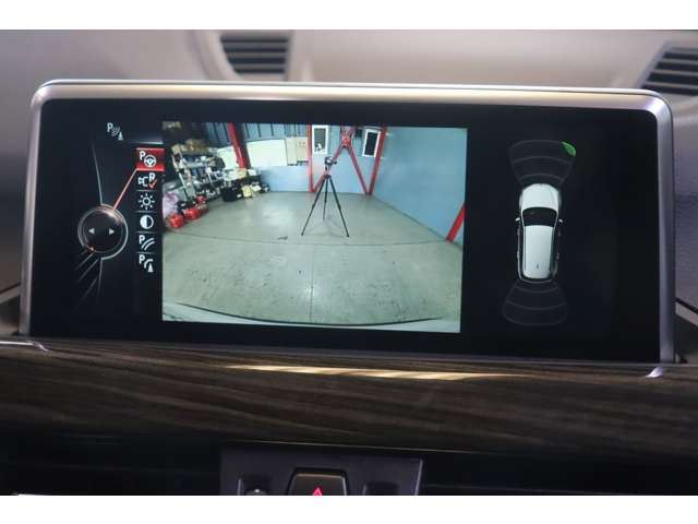 2017 BMW X1 photo 10