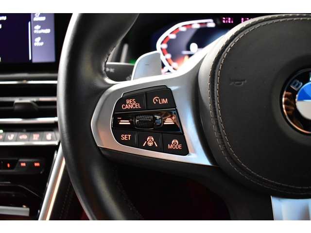 2019 BMW 8 SERIES GRAN COUPE 照片 11