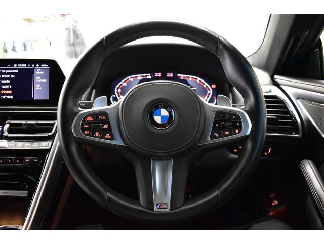 2019 BMW 8 SERIES GRAN COUPE — миниатюра 19
