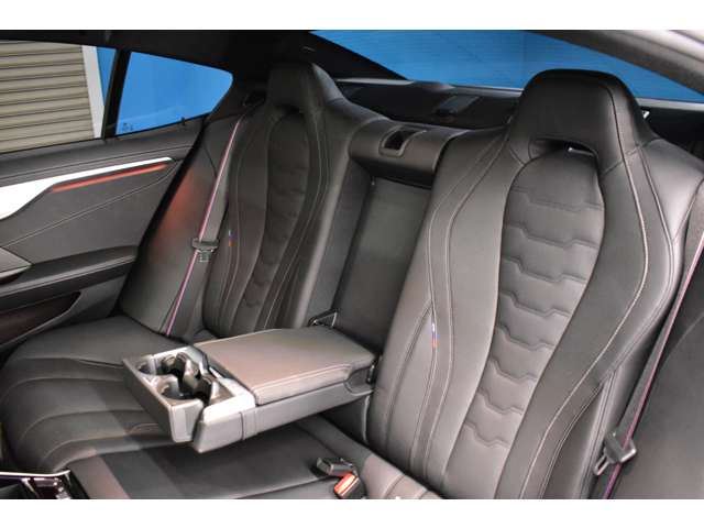 2019 BMW 8 SERIES GRAN COUPE — миниатюра 55