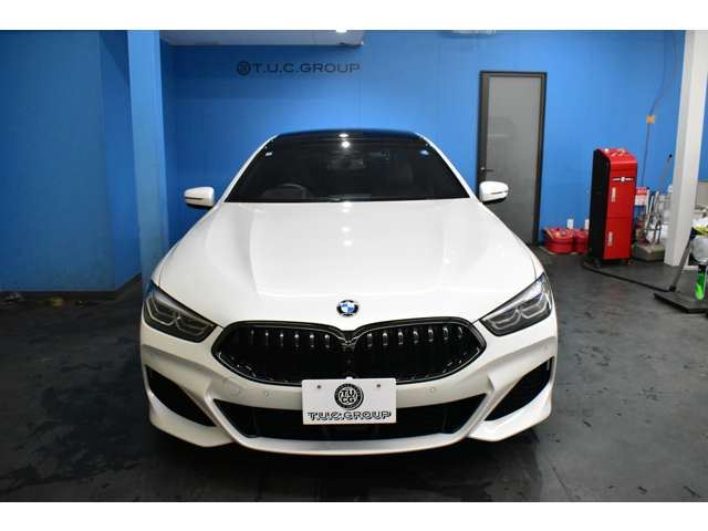2019 BMW 8 SERIES GRAN COUPE — миниатюра 67